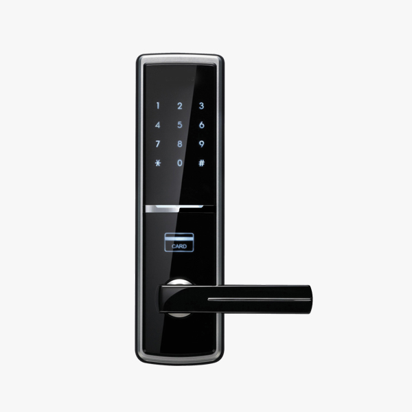 Smart Door Lock - Triple protection services